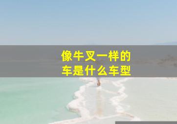 像牛叉一样的车是什么车型