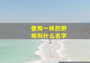 像狗一样的野味叫什么名字