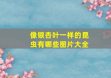 像银杏叶一样的昆虫有哪些图片大全