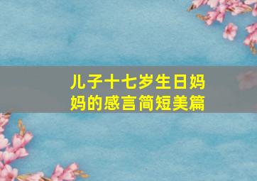 儿子十七岁生日妈妈的感言简短美篇