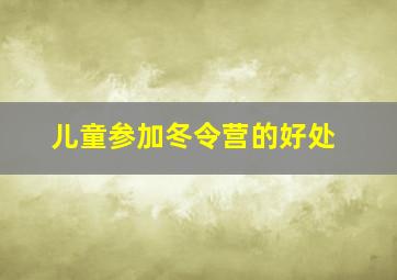 儿童参加冬令营的好处