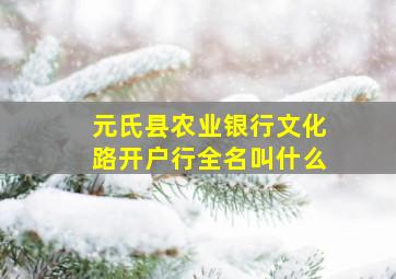 元氏县农业银行文化路开户行全名叫什么