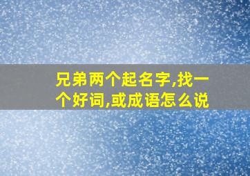 兄弟两个起名字,找一个好词,或成语怎么说