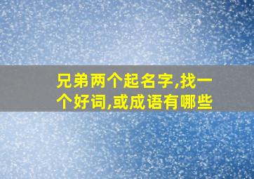 兄弟两个起名字,找一个好词,或成语有哪些