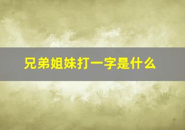 兄弟姐妹打一字是什么