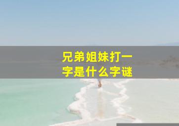 兄弟姐妹打一字是什么字谜