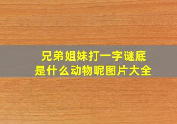 兄弟姐妹打一字谜底是什么动物呢图片大全