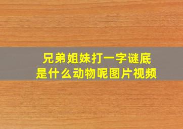 兄弟姐妹打一字谜底是什么动物呢图片视频