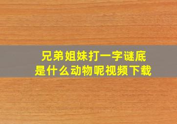 兄弟姐妹打一字谜底是什么动物呢视频下载