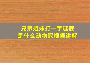 兄弟姐妹打一字谜底是什么动物呢视频讲解