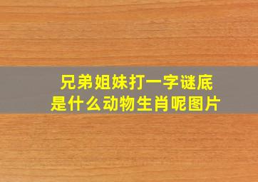 兄弟姐妹打一字谜底是什么动物生肖呢图片