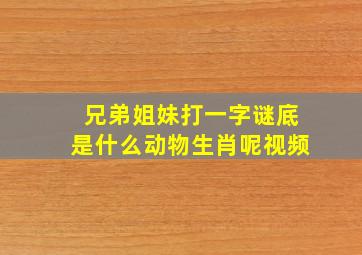 兄弟姐妹打一字谜底是什么动物生肖呢视频