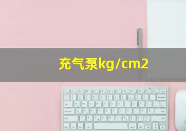 充气泵kg/cm2