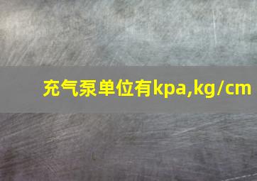 充气泵单位有kpa,kg/cm