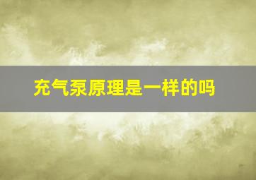 充气泵原理是一样的吗