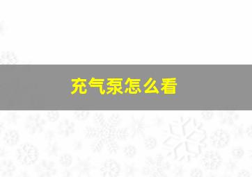 充气泵怎么看