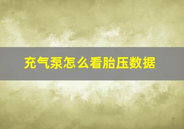 充气泵怎么看胎压数据