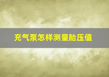 充气泵怎样测量胎压值