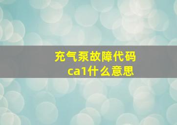 充气泵故障代码ca1什么意思