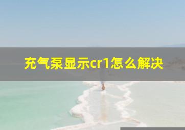 充气泵显示cr1怎么解决