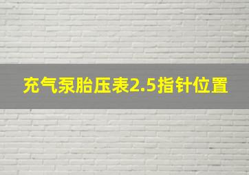 充气泵胎压表2.5指针位置