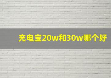 充电宝20w和30w哪个好