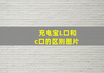 充电宝L口和c口的区别图片