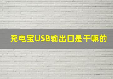 充电宝USB输出口是干嘛的