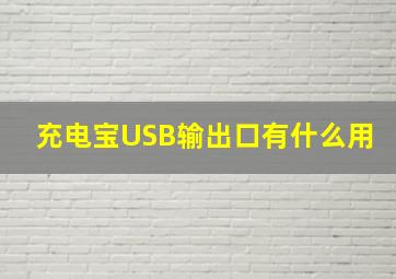 充电宝USB输出口有什么用