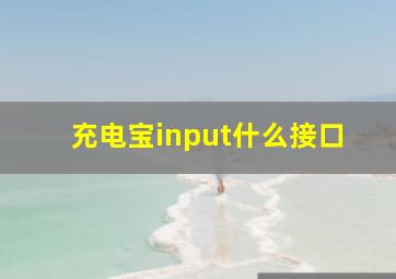 充电宝input什么接口