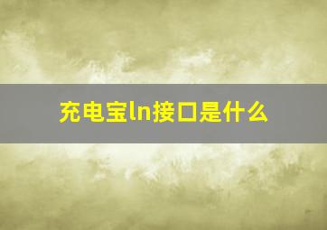 充电宝ln接口是什么