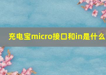 充电宝micro接口和in是什么