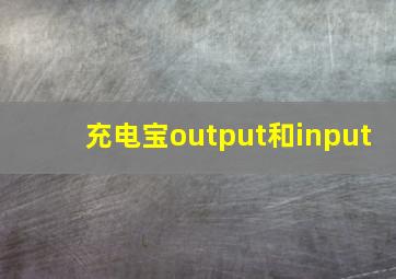 充电宝output和input