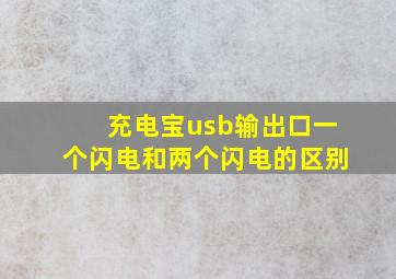 充电宝usb输出口一个闪电和两个闪电的区别