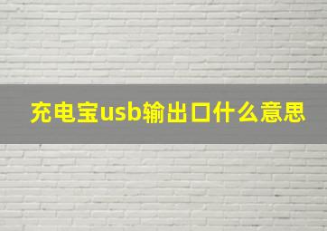 充电宝usb输出口什么意思