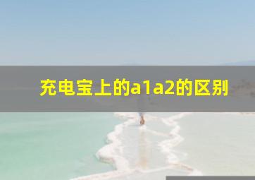 充电宝上的a1a2的区别