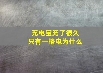 充电宝充了很久只有一格电为什么