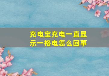 充电宝充电一直显示一格电怎么回事