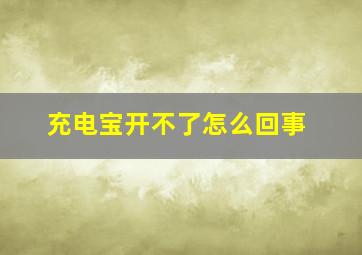 充电宝开不了怎么回事