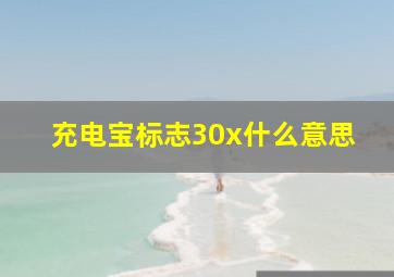 充电宝标志30x什么意思