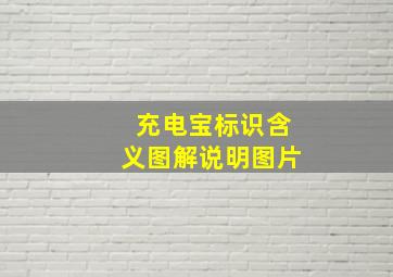 充电宝标识含义图解说明图片