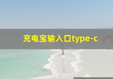 充电宝输入口type-c