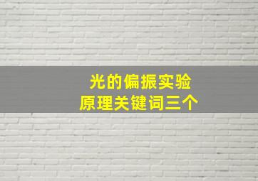 光的偏振实验原理关键词三个