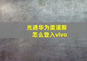 光遇华为渠道服怎么登入vivo