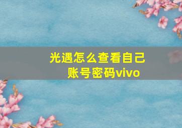 光遇怎么查看自己账号密码vivo