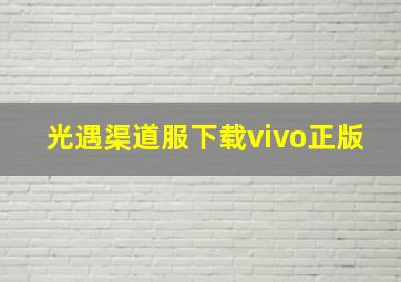 光遇渠道服下载vivo正版