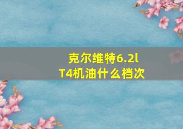 克尔维特6.2lT4机油什么档次