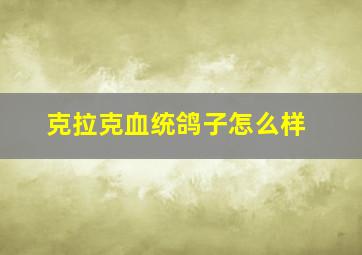 克拉克血统鸽子怎么样