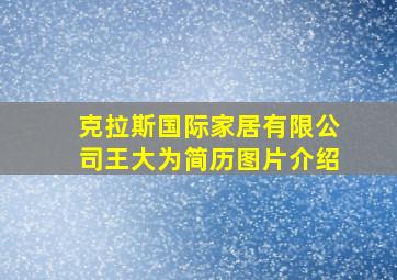 克拉斯国际家居有限公司王大为简历图片介绍