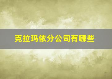 克拉玛依分公司有哪些